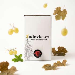 Rulandské bílé 2025 BAG IN BOX 5l suché moravské víno, Mikulov
