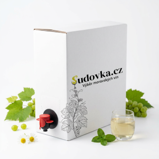 Sauvignon 2025 BAG IN BOX 3l suché