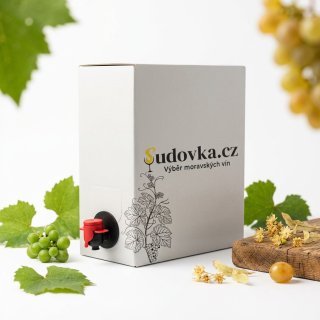 Ryzlink rýnský 2025 BAG-IN-BOX 3l suché