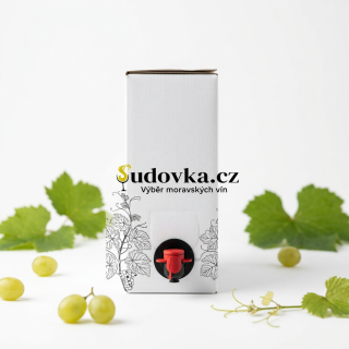 Rulandské šedé 2025 polosladké BAG IN BOX 5l Březí